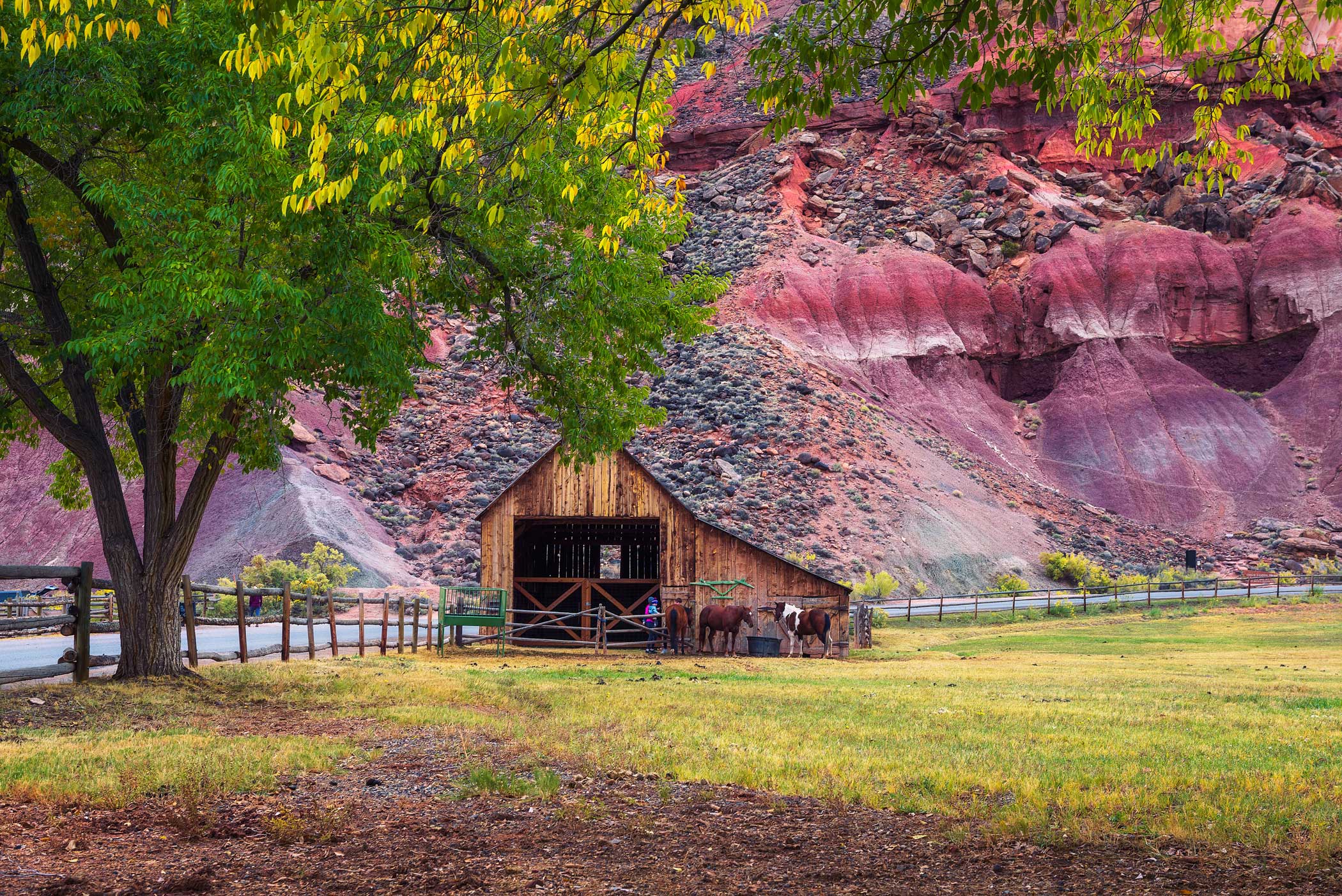 Capitol Reef National Park